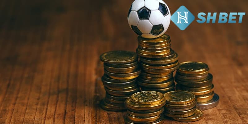 Những điểm nổi bật cá cược thể thao