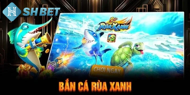 Tính năng mà săn cá rùa xanh mang đến cho khách hàng