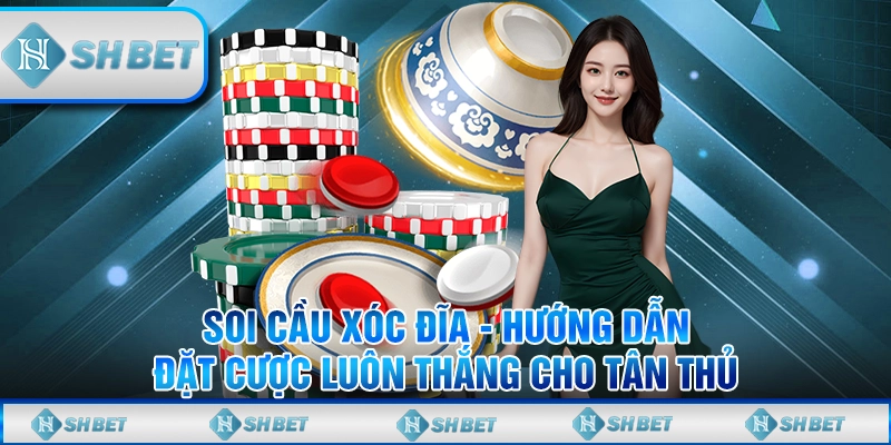 Soi Cầu Xóc Đĩa - Hướng Dẫn Đặt Cược Luôn Thắng Cho Tân Thủ