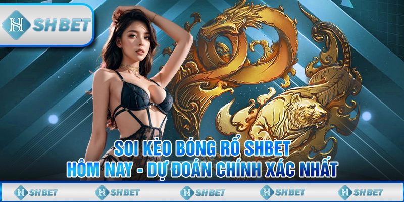 Soi Kèo Bóng Rổ SHBET Hôm Nay - Dự Đoán Chính Xác Nhất