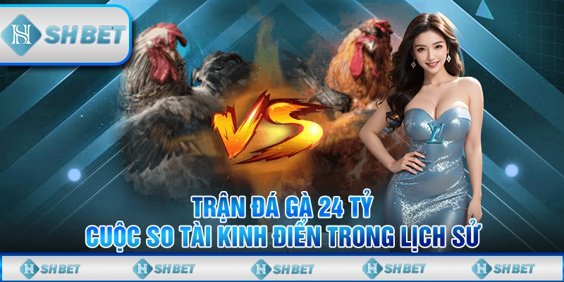 Trận Đá Gà 24 Tỷ - Cuộc So Tài Kinh Điển Trong Lịch Sử