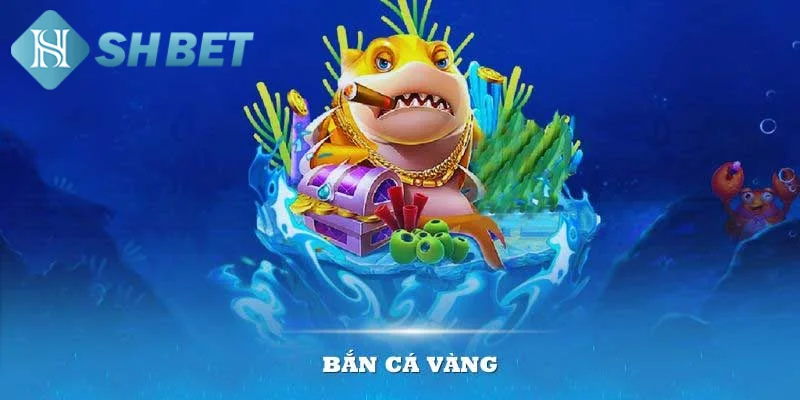 Điểm mạnh giúp săn cá vàng khẳng định tên tuổi