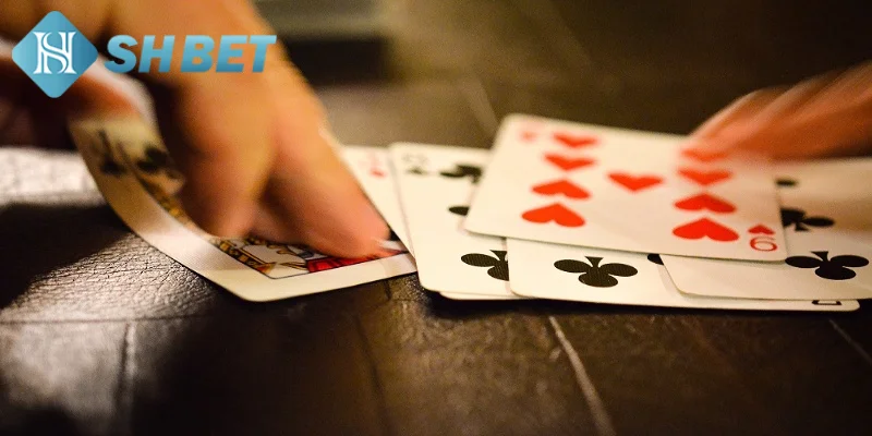 Bật mí các bí quyết đánh phỏm hiệu quả từ chuyên gia
