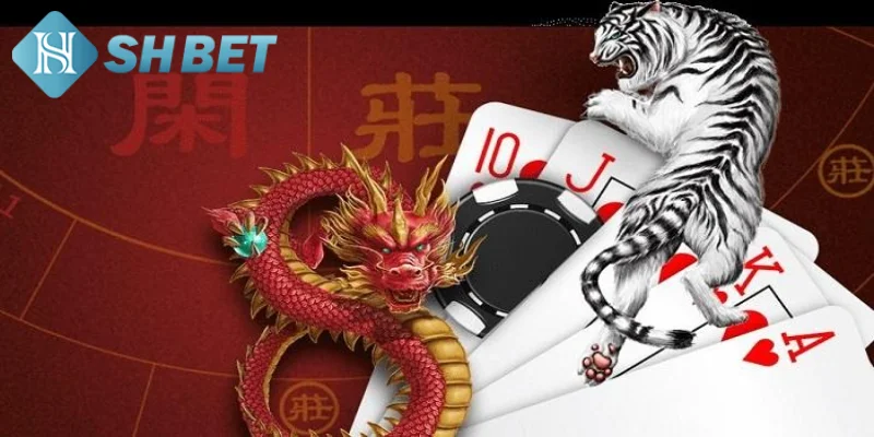 Lý do nên tìm hiểu chi tiết về cách chơi Rồng Hổ