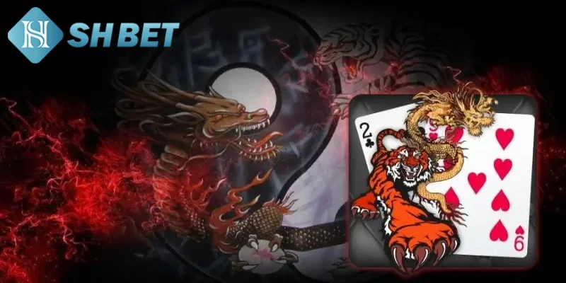 Chia sẻ tips chơi game bài Rồng Hổ thắng lớn từ chuyên gia