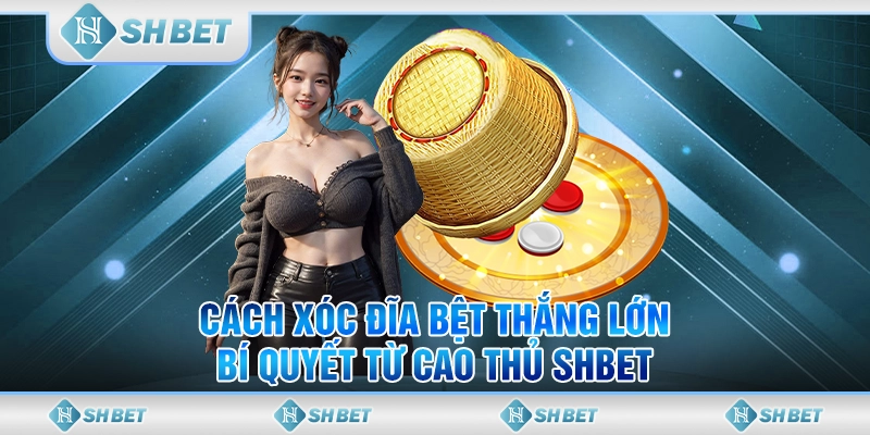 Cách Xóc Đĩa Bệt Thắng Lớn, Bí Quyết Từ Cao Thủ SHBET