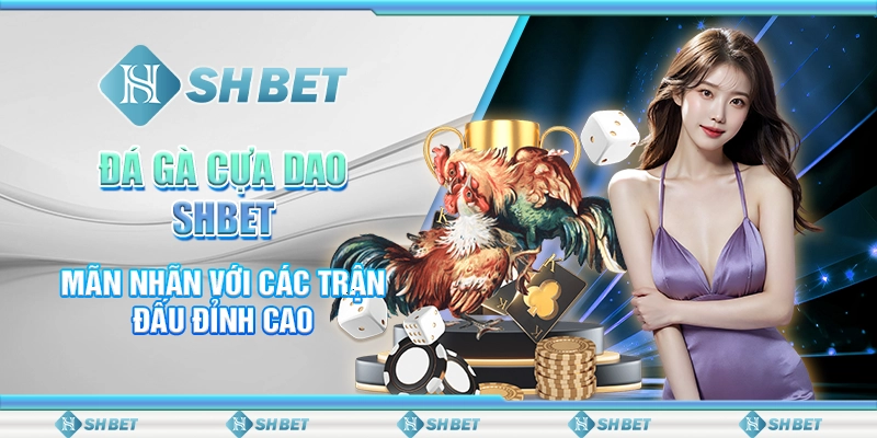 Đá Gà Cựa Dao SHBET - Mãn Nhãn Với Các Trận Đấu Đỉnh Cao