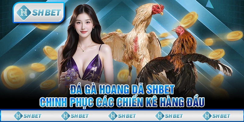 Đá Gà Hoang Dã SHBET - Chinh Phục Các Chiến Kê Hàng Đầu