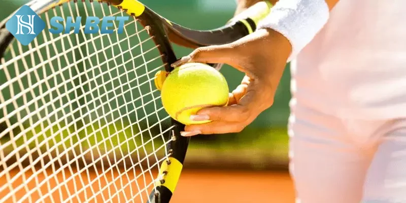 Một vài thông tin bạn cần biết về dự đoán kèo tennis