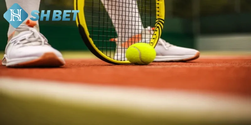 Kinh nghiệm dự đoán kèo cược tennis chuẩn từ chuyên gia