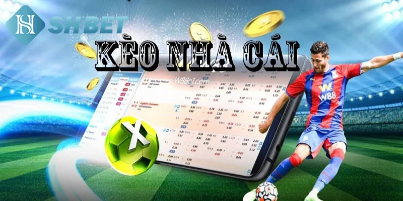 Giới thiệu vài nét thông tin sơ lược về giải mã kèo nhà cái