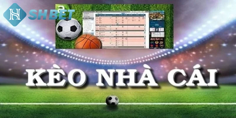 Tìm hiểu các loại kèo có ở kênh đặt cược kèo nhà cái
