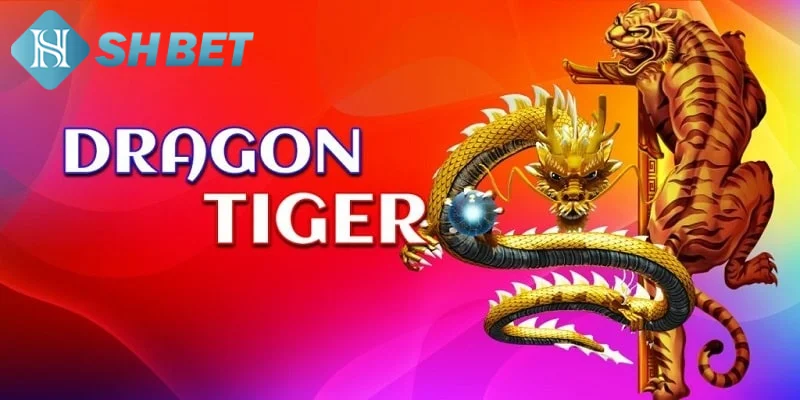 Các kỹ thuật chơi rồng hổ hiệu quả từ chuyên gia