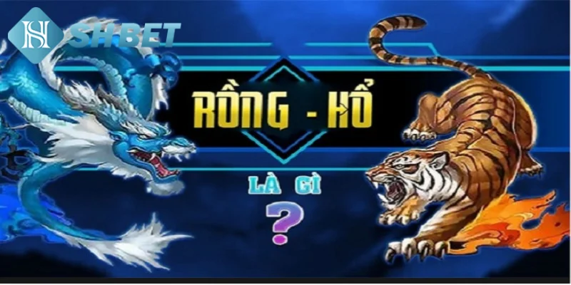 Vài nét khái quát về nguồn gốc của game bài Rồng Hổ