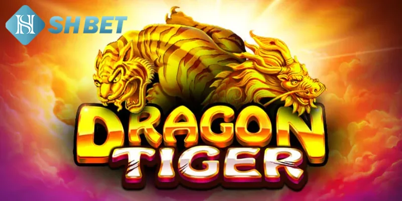 Lưu ý quan trọng khi sử dụng các mẹo chơi game bài Rồng Hổ