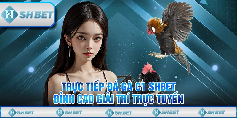 Trực Tiếp Đá Gà C1 SHBET - Đỉnh Cao Giải Trí Trực Tuyến