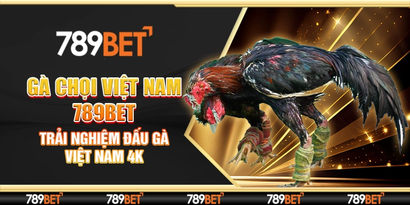 Gà Chọi Việt Nam 789bet - Trải Nghiệm Đấu Gà Việt Nam 4K