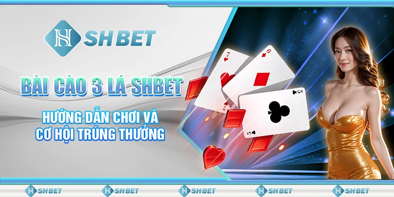 Bài Cào 3 Lá SHBET - Hướng Dẫn Chơi Và Cơ Hội Trúng Thưởng