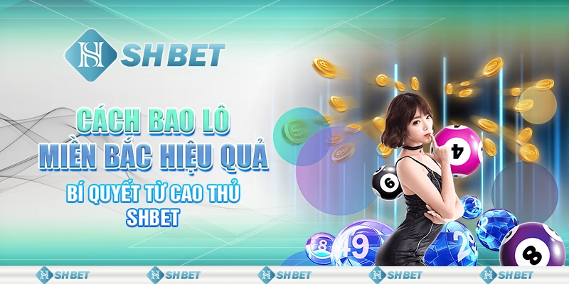 Cách Bao Lô Miền Bắc Hiệu Quả - Bí Quyết Từ Cao Thủ SHBET