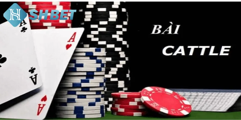 Giới thiệu vài nét thông tin cơ bản về game bài catte