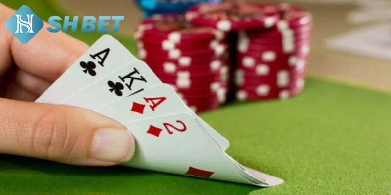 Chiến lược chơi bài catte hiệu quả từ cao thủ lâu năm