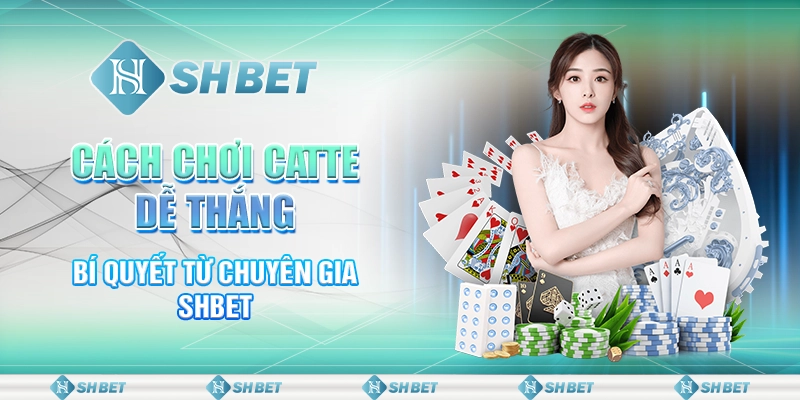 Cách Chơi Catte Dễ Thắng - Bí Quyết Từ Chuyên Gia SHBET
