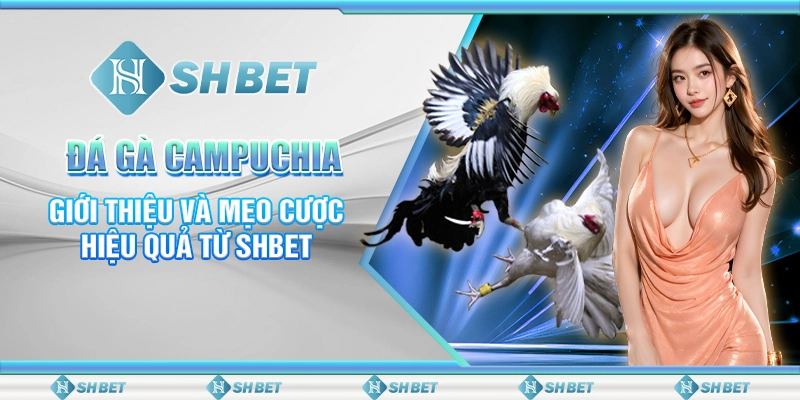 Đá Gà Campuchia - Giới Thiệu Và Mẹo Cược Hiệu Quả Từ SHBET
