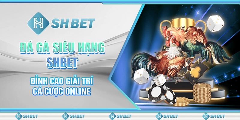 Đá Gà Siêu Hạng SHBET - Đỉnh Cao Giải Trí Cá Cược Online