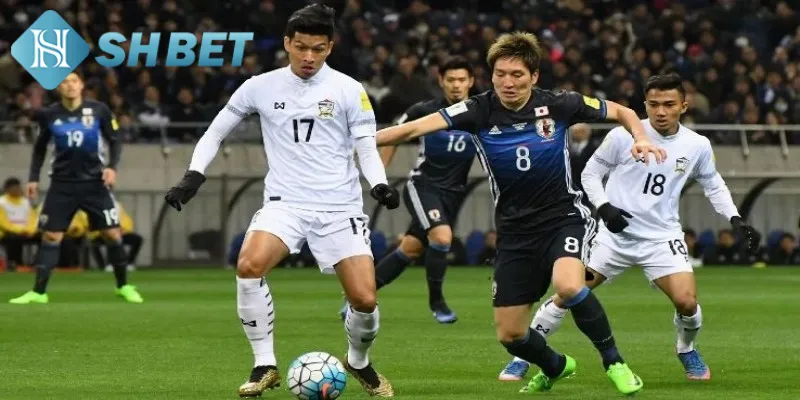 Khám phá một vài thông tin cơ bản về đặt cược Asian Cup