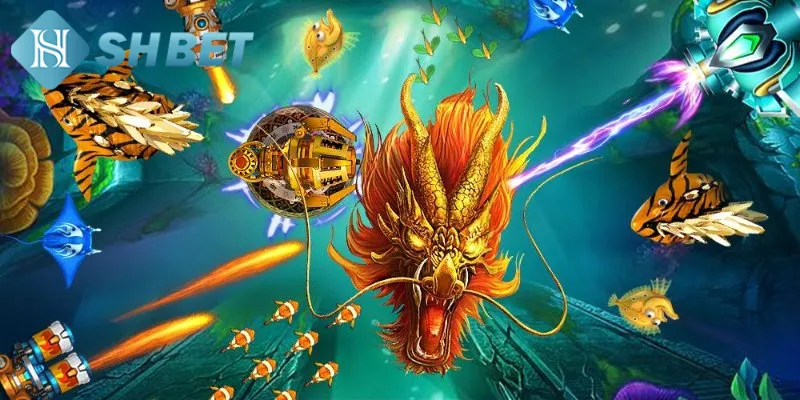 Giới thiệu thông tin khái quát về đấu trường săn cá