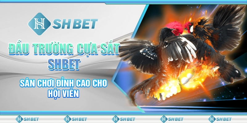 Đấu Trường Cựa Sắt SHBET - Sân Chơi Đỉnh Cao Cho Hội Viên