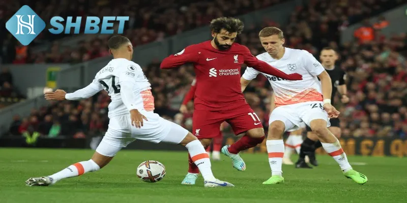 Ưu điểm khi theo dõi dự đoán bóng đá tại nhà cái SHBET