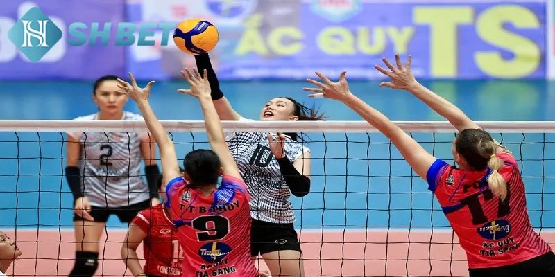 Một vài thông tin khái quát về cá cược bóng chuyền