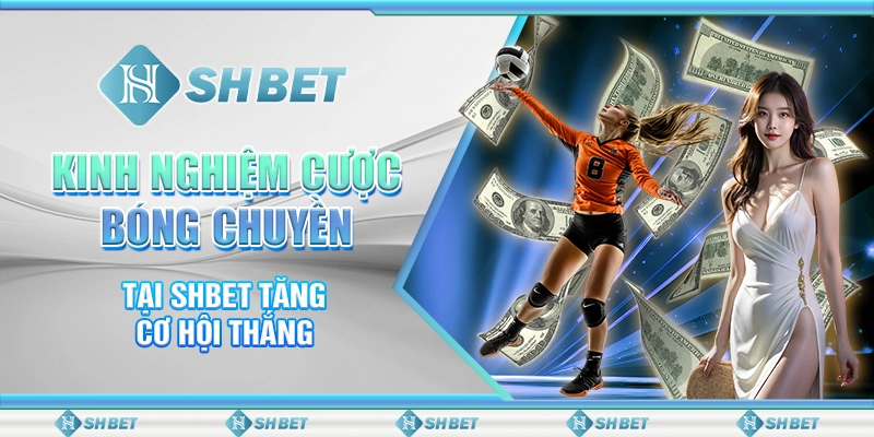 Kinh Nghiệm Cược Bóng Chuyền Tại SHBET Tăng Cơ Hội Thắng