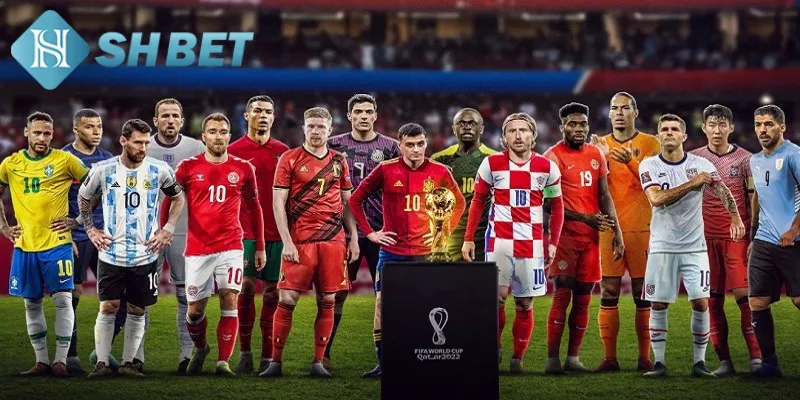 Thông tin cơ bản về giải bóng đá danh giá World Cup
