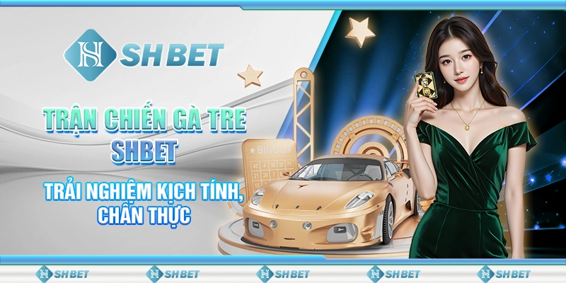 Trận Chiến Gà Tre SHBET – Trải Nghiệm Kịch Tính, Chân Thực