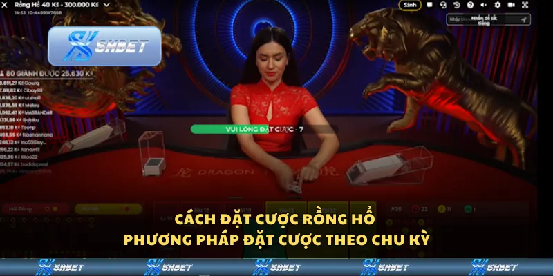 Cách đặt cược Rồng Hổ - Phương pháp đặt cược hiệu quả