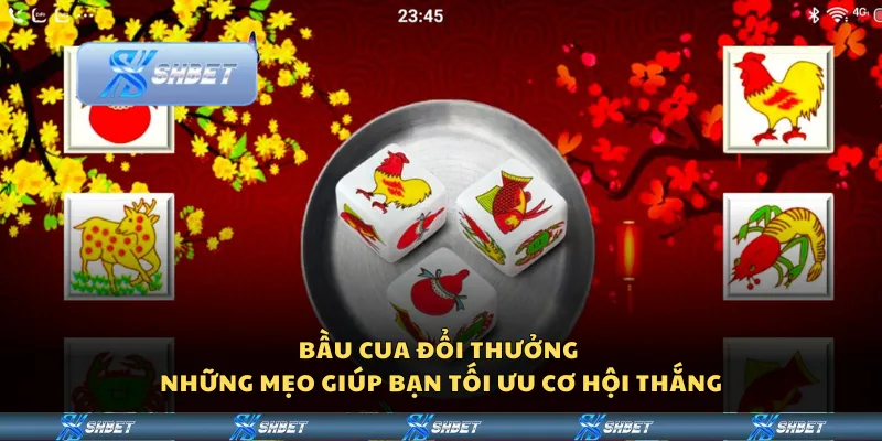 Bầu cua đổi thưởng – Những mẹo giúp bạn tối ưu cơ hội thắng