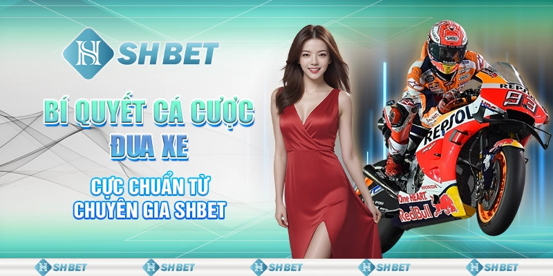 Bí Quyết Cá Cược Đua Xe Cực Chuẩn Từ Chuyên Gia SHBET