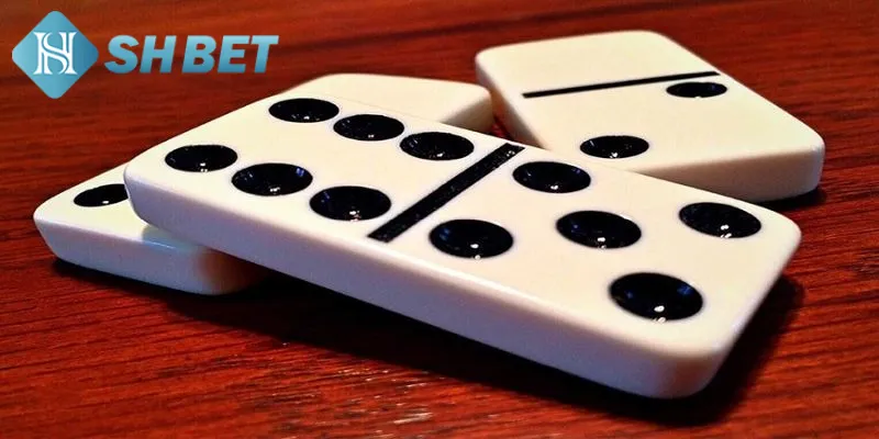 Một vài thông tin khái quát hội viên cần biết về Domino