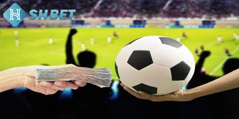 Khái quát một vài thông tin về cá cược Premier League
