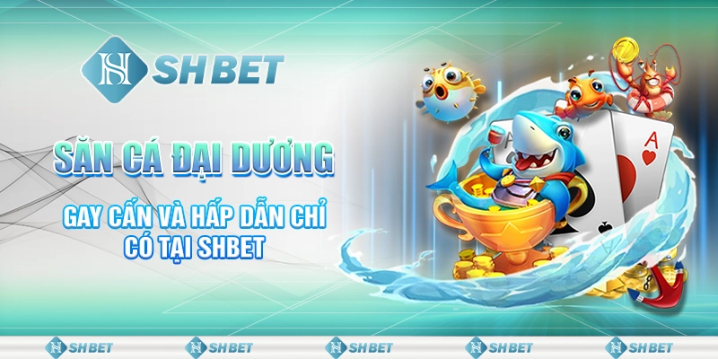 Săn Cá Đại Dương Gay Cấn Và Hấp Dẫn Chỉ Có Tại SHBET