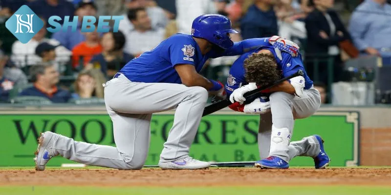 Đôi nét thông tin sơ lược về giải bóng chày MLB