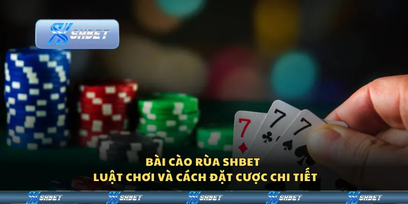 Bài Cào Rùa Shbet - Luật chơi và cách đặt cược chi tiết