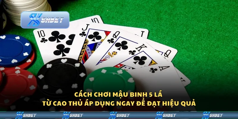 Cách chơi Mậu Binh 5 lá từ cao thủ - Áp dụng ngay để đạt hiệu quả