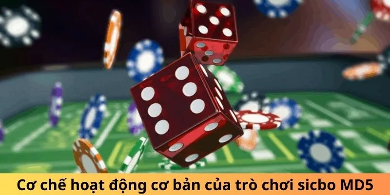Quy tắc chơi Tài Xỉu MD5 rõ ràng và đơn giản