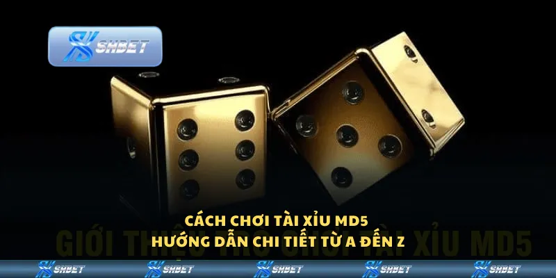Cách chơi Tài Xỉu MD5 - Hướng dẫn chi tiết từ A đến Z