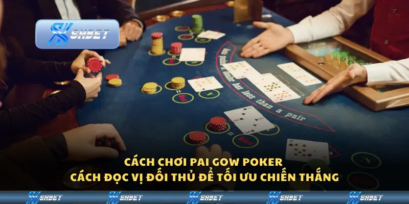 Cách chơi Pai Gow Poker – Cách đọc vị đối thủ để tối ưu chiến thắng