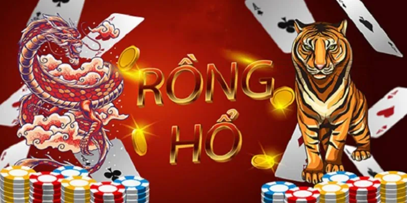 Giới thiệu cơ bản về Rồng Hổ
