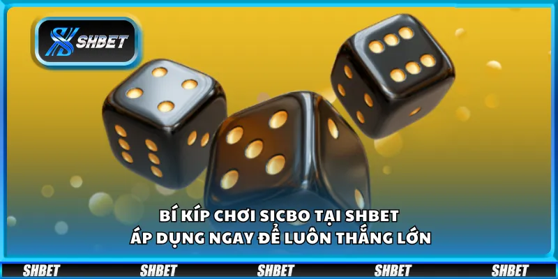 Bí kíp chơi Sicbo tại Shbet– Áp dụng ngay để luôn thắng lớn